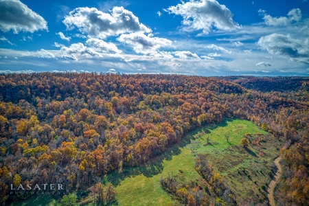 Terrapin Creek Frontage Land  For Sale Piney Mountain Views - image 4