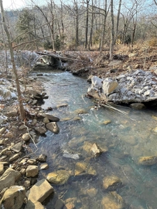 Terrapin Creek Frontage Land  For Sale Piney Mountain Views - image 15