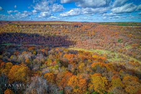 Terrapin Creek Frontage Land  For Sale Piney Mountain Views - image 8