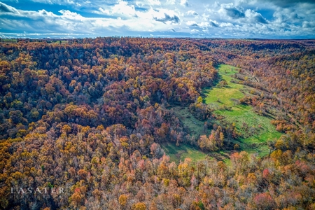 Terrapin Creek Frontage Land  For Sale Piney Mountain Views - image 5