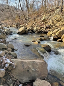 Terrapin Creek Frontage Land  For Sale Piney Mountain Views - image 12