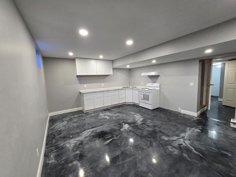 Basement living/kitchen area