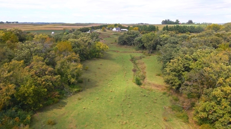 Winneshiek County, Iowa 48+/- Acre Property - image 14