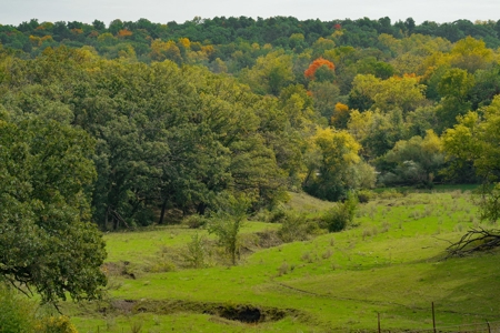 Winneshiek County, Iowa 48+/- Acre Property - image 6