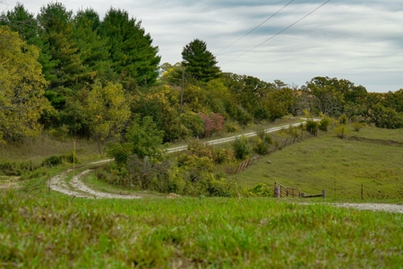 Winneshiek County, Iowa 48+/- Acre Property - image 7