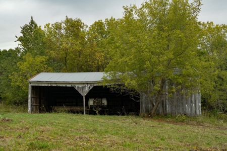 Winneshiek County, Iowa 48+/- Acre Property - image 5