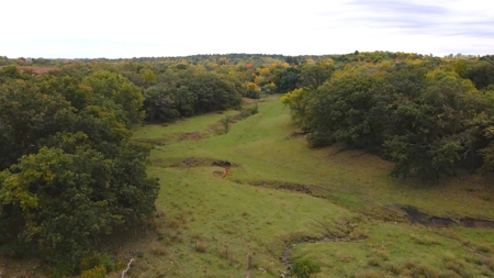 Winneshiek County, Iowa 48+/- Acre Property - image 10