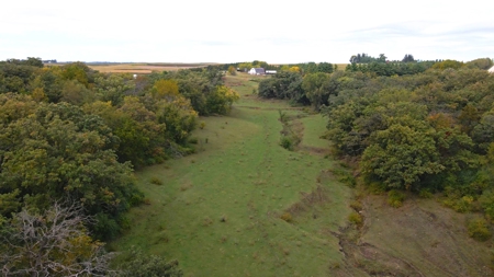 Winneshiek County, Iowa 48+/- Acre Property - image 12