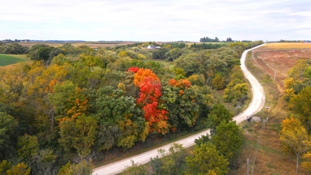 Winneshiek County, Iowa 48+/- Acre Property - image 17