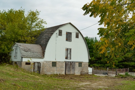 Winneshiek County, Iowa 48+/- Acre Property - image 4