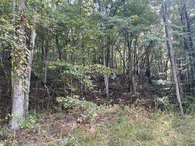 Land For Sale In Lawrenceburg Tennessee - image 4