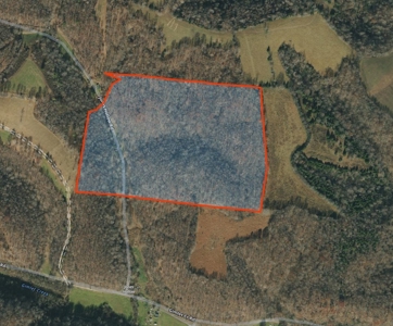 Land For Sale In Lawrenceburg Tennessee - image 7