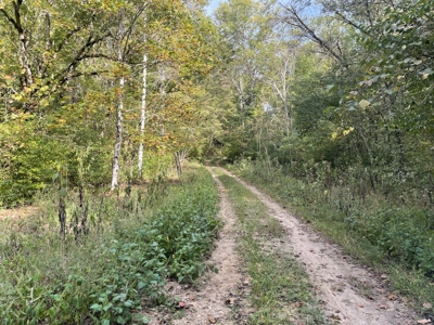 Land For Sale In Lawrenceburg Tennessee - image 1