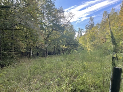 Land For Sale In Lawrenceburg Tennessee - image 3