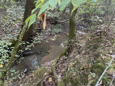 Land For Sale In Lawrenceburg Tennessee - image 6
