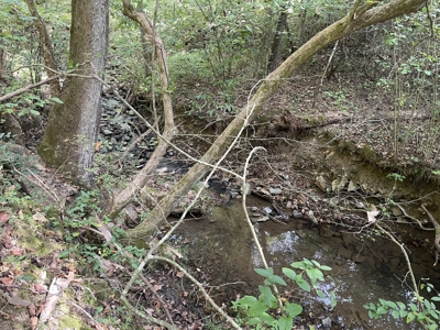 Land For Sale In Lawrenceburg Tennessee - image 5