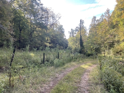 Land For Sale In Lawrenceburg Tennessee - image 2