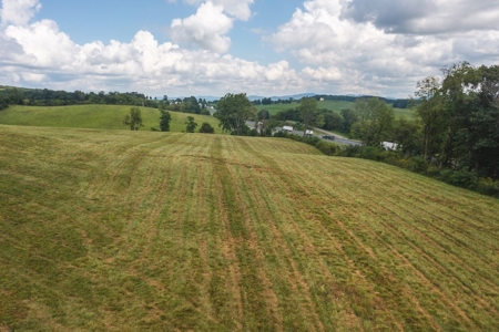Offering #2 - Commercial Building Site for Sale at Auction - image 13