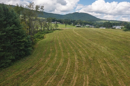 Offering #2 - Commercial Building Site for Sale at Auction - image 14