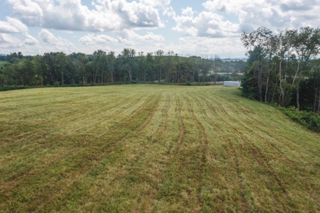 Offering #2 - Commercial Building Site for Sale at Auction - image 11