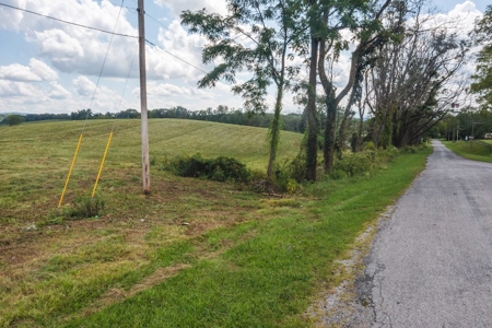 Offering #2 - Commercial Building Site for Sale at Auction - image 9
