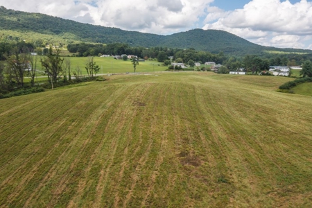 Offering #2 - Commercial Building Site for Sale at Auction - image 15