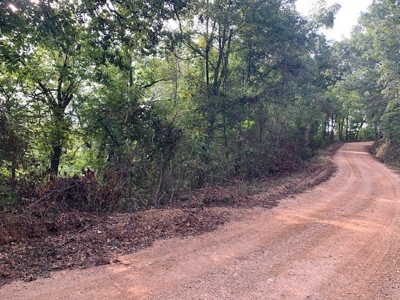 Has All Utilities And Next To Buffalo River - image 3
