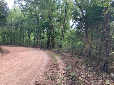 Has All Utilities And Next To Buffalo River - image 2