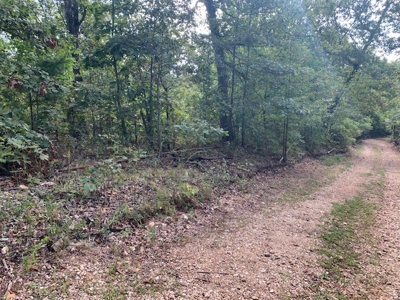 Has All Utilities And Next To Buffalo River - image 1