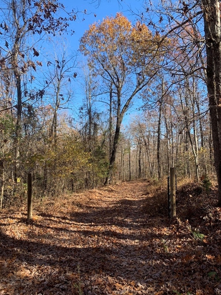 9.25 Acres That Borders Buffalo National Park