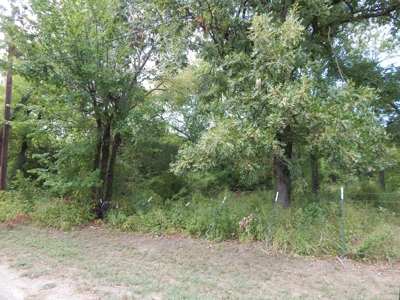Wooded Acreage For Sale Close to Metroplex - image 31