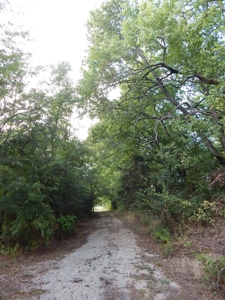 Wooded Acreage For Sale Close to Metroplex - image 23