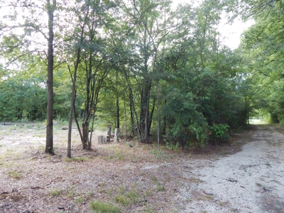 Wooded Acreage For Sale Close to Metroplex - image 19