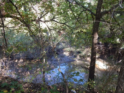 Wooded Acreage For Sale Close to Metroplex - image 6