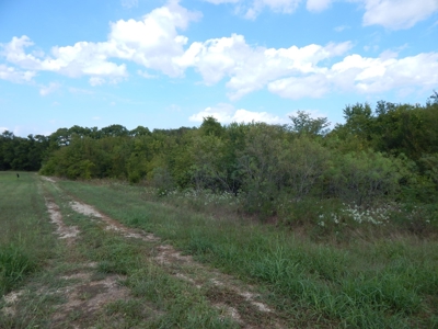Wooded Acreage For Sale Close to Metroplex - image 35