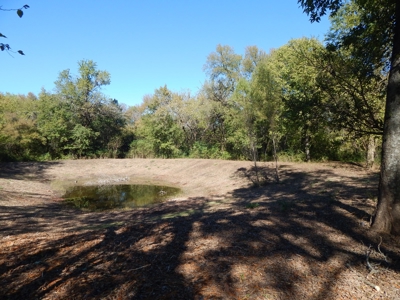 Wooded Acreage For Sale Close to Metroplex - image 15