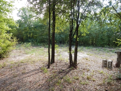 Wooded Acreage For Sale Close to Metroplex - image 20