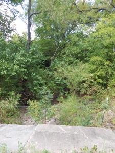 Wooded Acreage For Sale Close to Metroplex - image 24