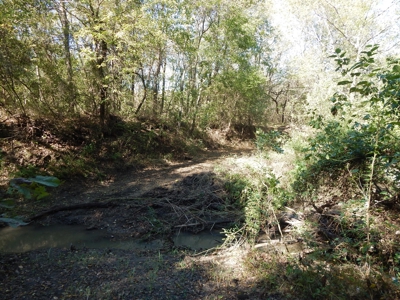 Wooded Acreage For Sale Close to Metroplex - image 13
