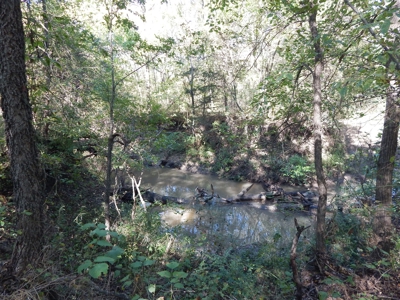 Wooded Acreage For Sale Close to Metroplex - image 7