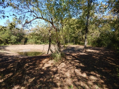 Wooded Acreage For Sale Close to Metroplex - image 14