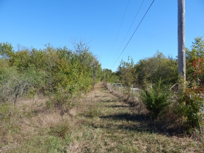 Wooded Acreage For Sale Close to Metroplex - image 9