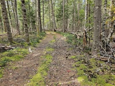 Large Wooded Lot with Camp - image 20