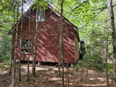 Large Wooded Lot with Camp - image 2