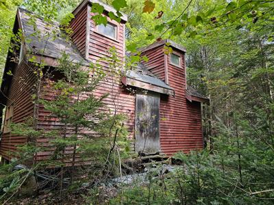 Large Wooded Lot with Camp - image 1