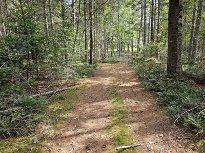 Large Wooded Lot with Camp - image 21