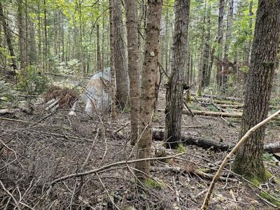 Large Wooded Lot with Camp - image 12