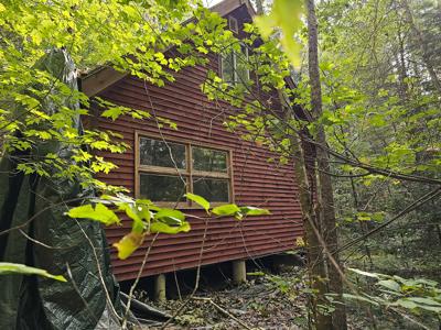 Large Wooded Lot with Camp - image 6