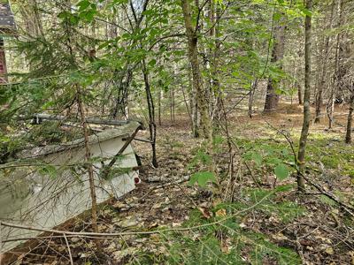 Large Wooded Lot with Camp - image 19