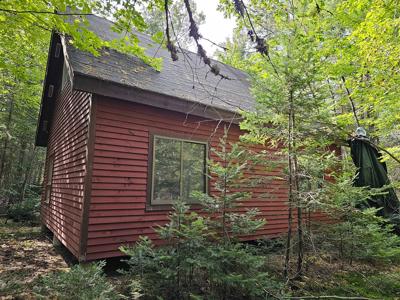 Large Wooded Lot with Camp - image 5